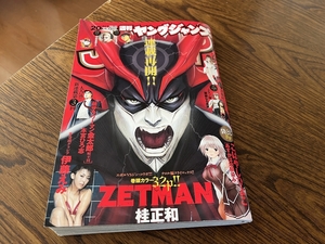 2010年4月29日号　週刊ヤングジャンプ№20　伊藤えみ　スザンヌ　程度良好