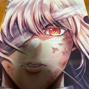 クリアファイル ２枚になります 【入手不可品です】 Fate/grand order フェイト グランド オーダー  雑誌当選品 非売品の画像2