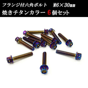 フランジ付六角ボルト M6×30mm P1.0 フラワーヘッド ステンレス 6個set 車 汎用 外装 カー用品 焼きチタン