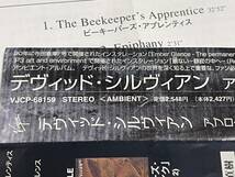 【CD美品】approaching silence/david sylvian/アプローチング・サイレンス/デビッド・シルヴィアン【日本盤】_画像9