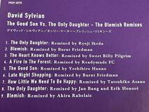 the good son vs the only daughter/the blemish remixes/david sylvian/オンリー・ドーター～ブレミッシュ・リミ/デビッド・シルヴィアン_画像9