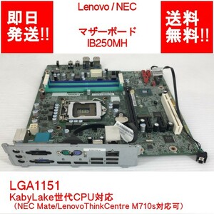 【即納/送料無料】Lenovo IB250MH DDR4 LGA1151/KabyLake世代CPU対応（NEC Mate/Lenovo ThinkCentre M710s対応）【中古動作品】 (MT-L-004)