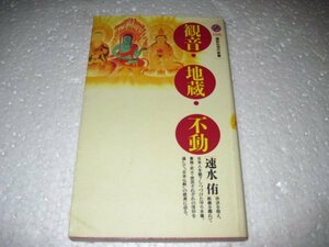 観音・地蔵・不動 (講談社現代新書)