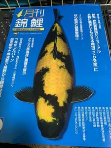 月刊錦鯉　　最新号　2023年1１月号　今秋の最新情報が満載　プレゼント付き【大日養鯉場オリジナル錦鯉手ぬぐい1枚】　レターパックで発送