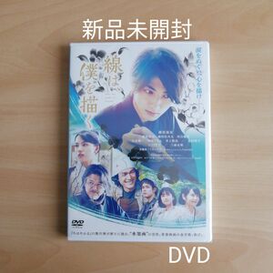 新品未開封★線は、僕を描く 通常版 DVD 横浜流星 