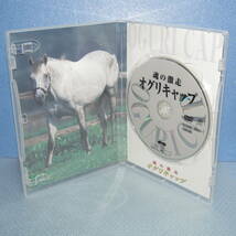 競馬DVD「オグリキャップ 激闘の真実 （魂の激闘）」_画像4