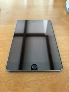 送料無料 iPad mini 第5世代 Wi-Fi+Cellularモデル 256GB ブラック