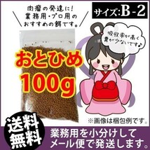 030-04-003 日清丸紅飼料おとひめB2（沈降性）100g ※メール便　金魚小屋-希-福岡_画像1