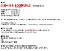 訳あり カードーリー タイヤドーリー 車ドーリー 積載合計900kg 2個セット 車 ドーリー 車移動 自動車整備 車両移動 レッカー 移動工具_画像2