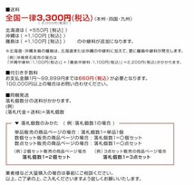 訳あり 正弦波インバーター 災害時電源 DC24V 定格1000w 最大2000w AC100V 50Hz 60Hz切替可能_画像2