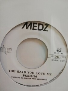 《7》Pushim プシン - You Said You Love Me いつも君を観てる太陽　7インチ 300枚限定プレス　レゲエ　ジャパレゲ　45 7inch SOUL R&B