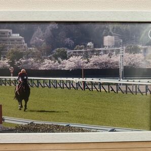 2014年産経大阪杯　キズナ　阪神競馬場　写真パネル