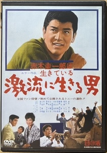 即決！【DVD】赤木圭一郎『激流に生きる男』芦川いづみ/葉山良二/笹森礼子/内田良平/東野英治郎 他 特別出演多数　〈日活映画傑作選〉