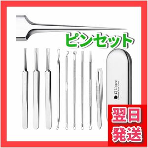訳あり いちご鼻 毛穴ケア すっきり 角栓 ステンレス製 角栓取り ピンセット ケース付