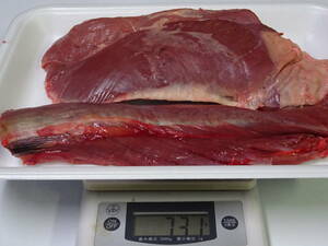 天然鹿肉　捕れたて鹿肉　　背ロース肉　その他　　７３１　ｇ　　同梱可能