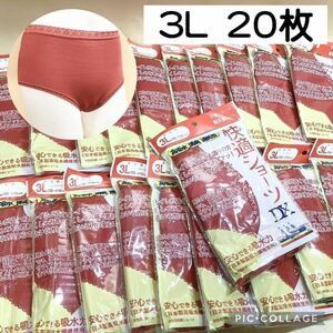 【3L】女性用 下着 大量 まとめて★20枚★未開封★尿漏れ パンツ★失禁 対策 ショーツ【送料 佐川急便 ￥850】