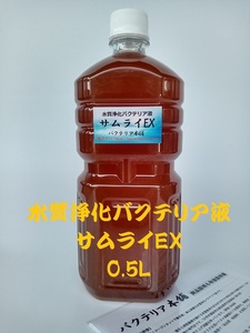 【バクテリア本舗 本店】サムライEX [0.5L]高濃度水質浄化バクテリア液(らんちゅう,めだか,グッピー,金魚,錦鯉,シュリンプ,熱帯魚,海水魚）