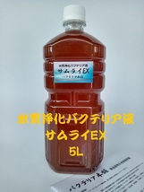 【バクテリア本舗 製造元】サムライEX [5L]高濃度水質浄化バクテリア液(らんちゅう,めだか,グッピー,金魚,錦鯉,シュリンプ,熱帯魚,海水魚）_画像1