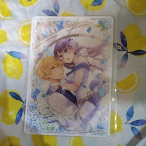 婚約破棄された空気な私、成り上がりの旦那様に嫁ぎました アニメイト特典