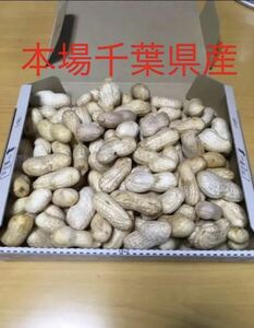 本場！千葉県産　おおまさり　1kg