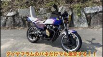 CBX400F パンチくん 高回転専用　コールバネ　ダイヤフラムバネ3_画像6