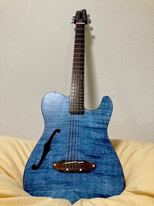 Schecter OL-FL SSTB　シェクター　エレアコ