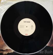 12inch 日本盤 KATE BUSH ■ CLOUDBUSTING ■ ３曲入りEP_画像5