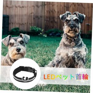 USB充電式 犬猫 LED発光首輪 軽量 事故防止取付簡単 安全対策 M 猫 LED 猫 ねこ おもちゃ LED