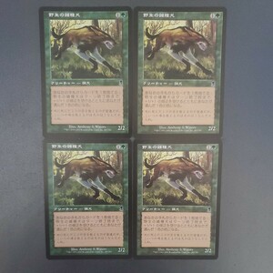 MTG 野生の雑種犬 ODY 日本語 4枚セット