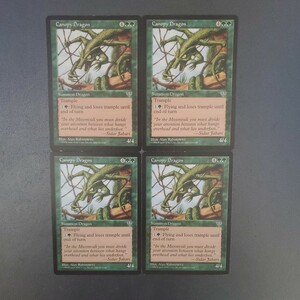 MTG 梢のドラゴン MIR 英語 4枚セット