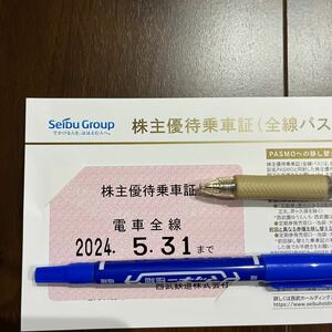 簡易書留無料 西武ホールディングス 西武鉄道 電車全線 株主優待乗車証 定期タイプ