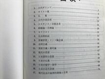 3742 実力アップシリーズ まとめて8冊セット 理科Ⅰ 地学 日本史 倫理 物理 数学Ⅱ 現社 英語Ⅰ 旺文社 1987年_画像5