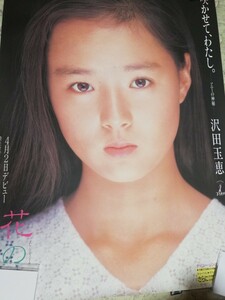 沢田玉恵ポスター　告知用　B1