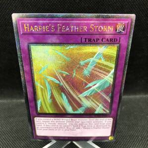 【未使用品】遊戯王 英語版 ハーピィの羽根吹雪 25thシークレットレア RA01-EN073