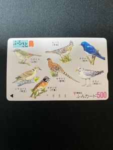 ふみカード500（コレクション）