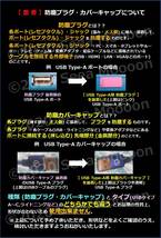 USB ライトニング プラグ保護用 防塵カバーキャップ２個 Lセット ⑳【色・タイプ選べます】_画像2