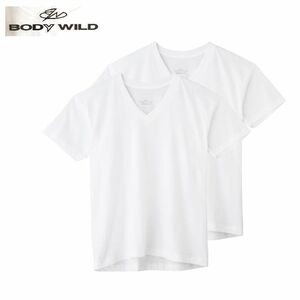 BODY WILD グンゼ 新品 VネックTシャツ 2枚組 メンズL 綿100％