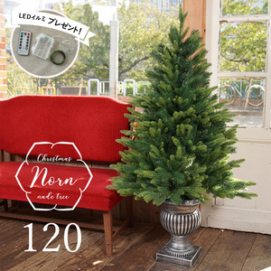 [ limited amount LED ilmi present ] Christmas tree 120cm nude tree. tree pot tree car Be pot Northern Europe stylish Nornnorun