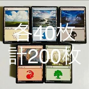 MTG 日本語 基本土地 基本地形 各種40枚 計200枚 リミテッド用 大量