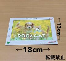 送料無料　住友生命　2024年　卓上カレンダー　キッチンタイマー　非売品　レア　いぬ　ねこ_画像2