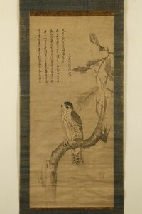 【真作 江戸動物画】掛軸「文英清韓賛 曾我直庵画 鷹画賛」方広寺鐘銘事件 絵師 臨済宗 僧 書画