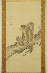 【真作 江戸動物画】掛軸「山本雲渓 松樹親子猿」安政5年79歳 江戸後期 絵師 医師 森狙仙師事 絵画