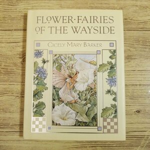  foreign language picture book [sisi Lee * Mary -* Barker Fairy of Flower ..FLOWER FAIRIES OF THE WAYSIDE( library size * hard cover )] road ... flower foreign book [