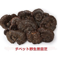 中国 チベット高原 黒霊芝 重さ60～80ｇ/1本_画像3