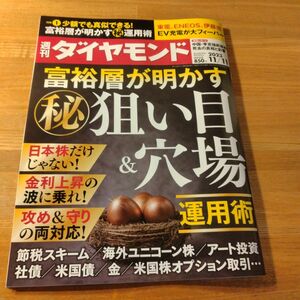 週刊ダイヤモンド 2023.11.11 裕福層が明かすマル秘運用術　狙い目 & 穴場