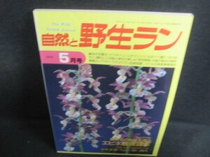 自然と野生ラン　1993.5　エビネ最強読本　日焼け有/QDZD