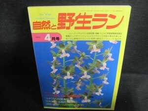 自然と野生ラン　1993.4　輝くエビネ豪華版　日焼け有/QDZD