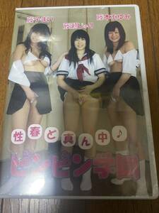 新品　ビンビン学園　藤子まい　藤瀬じゅり　藤木あゆみ　着エロ　DVD 