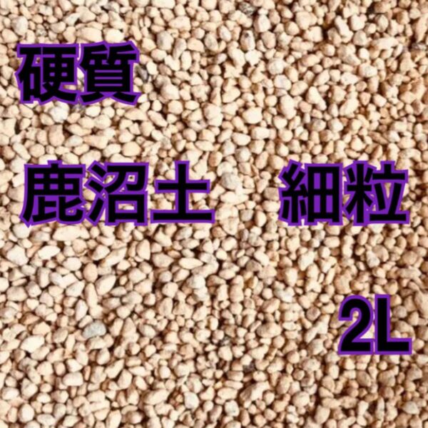 【硬質】 鹿沼土 細粒 2L 多肉植物 寄せ植え サボテン 観葉植物