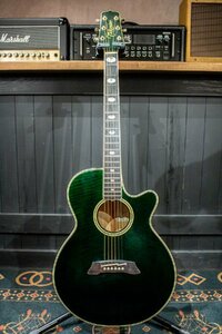 ♪Takamine NPT-115 タカミネ アコースティックギター ジャンク ☆D 1116